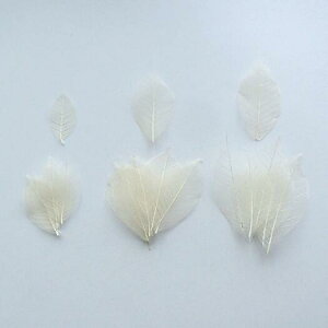 yXPg[t    10z  t [t hCt[  p[c |  AW nhCh A[g uC_   t[AW