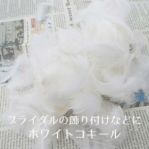 yzCgRL[@7gz傤̉H@p[c@EGfBO@VR@|@nhCh@@CeA@[X@t[p[c@@@EGfBO@zCg@