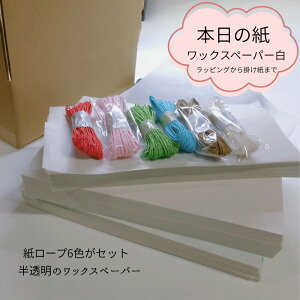 【 本日の紙 2 】 掛け紙 帯紙 ラッピングペーパー 切り紙 色紙 ワックスペーパー ハンドメイド クラフト ファンシーペーパー 厚手紙 大容量 白 メール便 カード紙 ロー引き ロウ引き 席札 箱
