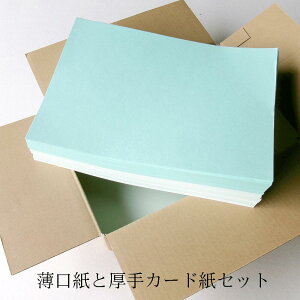 【 本日の紙 】 色紙 黒紙 ハンドメイド クラフト ファンシーペーパー 厚手紙 大容量 厚い紙 メール便 板紙 カード紙 商品タグ 席札 箱 紙 グレー 変わった紙 アンティーク おしゃれな紙 メッ