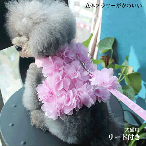 y L  ̕ n[lX sNzI[V[Y  N[ 킢  ybgpi S M ^ ^ U v[h ` t ĕ L [h [ht 