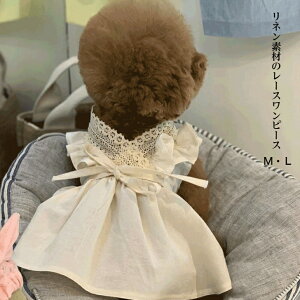 y  ̕ s[X  H lz 킢  ybgpi M L ^ ^ U v[h ` t }`[Y o [X i` 