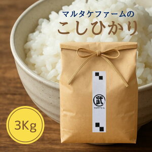  Ђ  3L 3Kg L@͔| Mtg Ѝ͔| Y ͎s 2024NxY RVqJ   P V