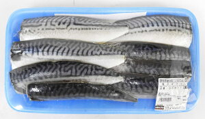 Ⓚ@TotB 1600gO@mEF[Y