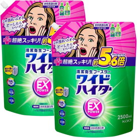 【2袋セット】ワイドハイター EXパワー 2500ml×2袋