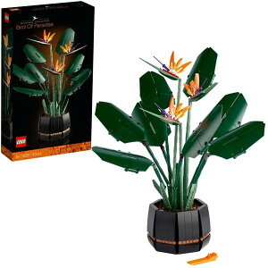 NGC^[ GLXp[g 10289 Xg`A