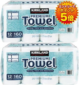 【2袋セット】ペーパータオル12ロール ×2袋