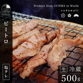 楽天市場 シロコロホルモン 豚の通販