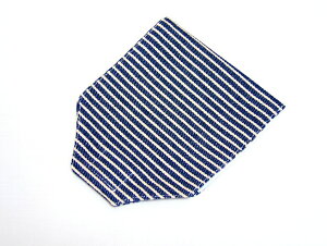 【買い回り◎】1,000円ポッキリ 送料無料マスクキーパー(簡易マスクケース スマートサイズ 携帯用) 《クールな紺ストライプ》外食時や家庭でのちょっとしたマスクの持ち運び、持ち歩きに