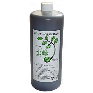 �y��(�ǂ���)