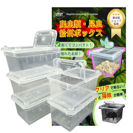 UTST 昆虫飼育ケース 小型 コンテナ ボックス 空気穴付き 11cm 19cm 昆虫 小動物・卵 幼虫 繁殖