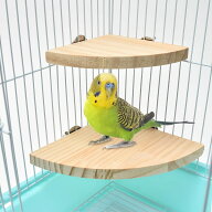 【CS Cutespace cute+space】 インコ とまり木 (2個セット)『 ハムスター 小動物 などにもご利用頂けます…