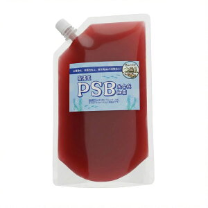 ���R�߂��� PSB �������׋� 500ml ���Z�x�|�{ �o�N�e���A �������P �Ɖu�͋���