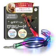 【トイプー2匹の愛犬家監修】 光るリード 『5分充電で90分使用可能』 「ぴかリード」（小型犬専用設計）U…