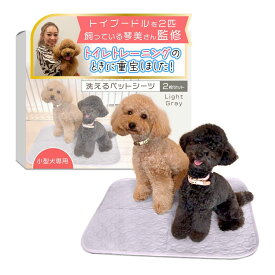 洗えるペットシーツ （2枚セット）【トイプー2匹の愛犬家監修xトイトレやトイレを外す子のサブシーツ専用】小型犬専用x老犬のおねしょ用にも WANSTE（ワンステ）