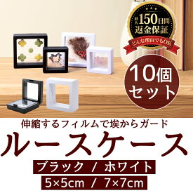 【送料無料】 ルースケース 5cm 7cm 業界初 白黒 2段クッション 10個セット 宝石ルース プラケース 天然石 宝石箱 裸石 宝石 ルース 収納 ディスプレイケース 小物入れ 標本箱 sm-2287
