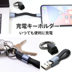 yfɂz [dP[u RpNg P[u Z L[z_[ 3^Cv(USBc/PD/Lightning) L[Ot 10cm } pd ^Cvc L[z_[ [dP[u CgjO android Lightning usb