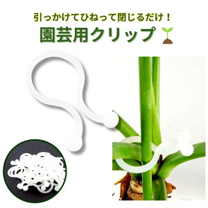 y120zc s Œ Nbv 100 A  xK[fjO x Nbv |p JԂgp\ Y  oh ߂ ^b` K[fjO   ƒ؉ ͔| | 