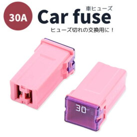 車 ヒューズ 30a [2個セット/長さ；2.7cm、幅：1.4cm、高さ：1cm] 車用PALヒューズ 汎用 自動リンク スローブロー タイムラグ 自動車用 遅断型 タイムラグ ブロック型 2端子 メス sm-553