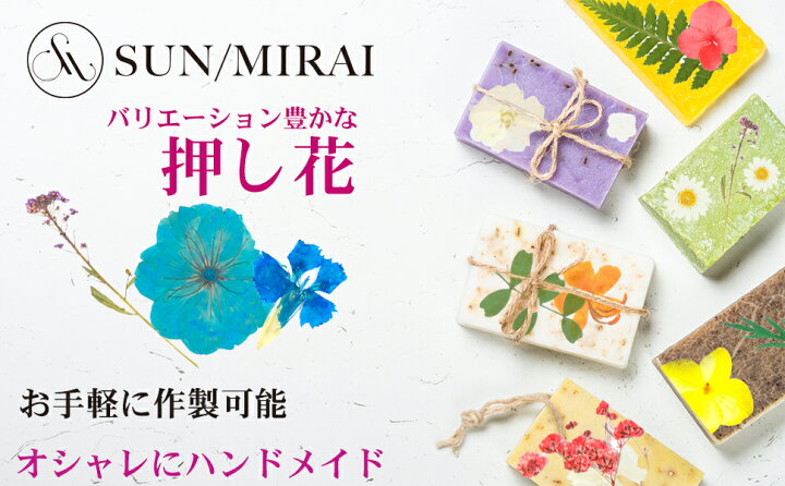 楽天市場 押し花 乾燥シート ドライフラワー 手芸 キット 4色からお選びください ブリザードフラワー バーミックス セット ドライ葉 乾燥花 化粧 カード造り Diy パープル Sm 375 Simps Shop 楽天市場 押し花 乾燥シート ドライフラワー 手芸 キット 4色からお選びください ブリザードフラワー バーミックス セット ドライ葉 乾燥花 化粧 カード造り Diy パープル Sm 375 Simps Shop