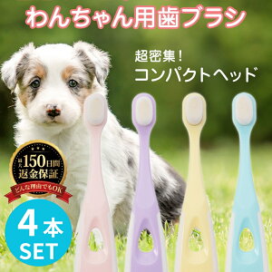 ybgp  p uV Lp ɍ  nuV   oPA PA 4{Zbg ybg ɂȂ ɍז ^ 炩uV f^PA o  _炩