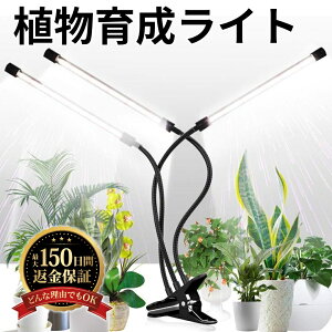 yz A琬Cg led Nbv X^h tXyNg ApCg ϗtA A ͔|  Cg 360xA[ /^C}[ A͔|pled 琬Cg