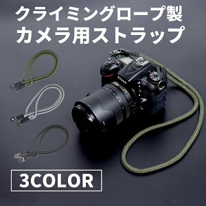 JXgbv | NC~O[v 98cm y ჌t/~[X/RpNgJp z [vXgbv  fWJ J Xgbv V_[Xgbv ΂߂