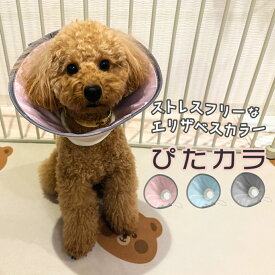 【獣医師監修】 エリザベスカラー （ぴたカラ） エリザベスカラー 嫌がる 小型 中型犬 布 クッション 軽量 柔らかい やわらか ドーナツ 柴犬 布 保護 傷舐め 引っかき 怪我 ケガ 病気小型犬専用x軽量で音がしないモデルxソフトタイプx術後のケア用品 S-083