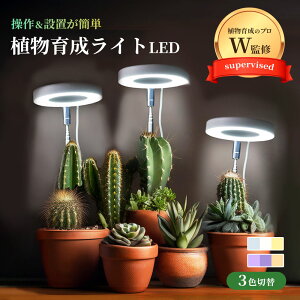 yA琬̃v2lďCz A琬Cg LED iSҐpjuŎgp\ vgCg 5iK ^C}[@\ ƕs A琬 k͔|v K[fjO ƒ