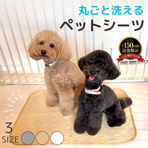 y2Zbgz ybgV[c 􂦂 RȂ JԂg Ch 唻 ybg}bg gCV[g  L p pbh V[g  z ~ ybgp p 