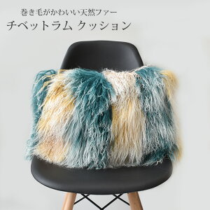 NbV 킢 ӂӂ ӂӂ `xbg 46cm×60cm NbVJo[ gt ֎q \t@ w CeA J[[ r є VR[g  났 蕨 v[