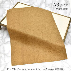 {v ؊v sbOXL ͂ A3TCY 唻 I[Xgb` ^ U[Ntg nM nhCh f [v vޗ L ܂nMt lR|X  No.807338ca