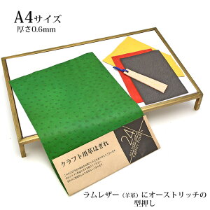 {v rv v ͂ A4TCY I[Xgb` ^ U[Ntg nM nhCh f [v vޗ O[ ܂nMt lR|X  No.807489gr