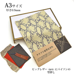 {v ؊v sbOXL ͂ A3TCY 唻 pC\ wr ^ U[Ntg nM nhCh f [v vޗ x[W ܂nMt lR|X  No.808529