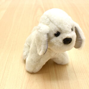 [g obO`[ L[z_[ ^  hbO dog gCv[h gCv[ RbJ[ LoA ʂ 킢 At@[ ӂӂ tt ӂӂ tJtJ Mtg v