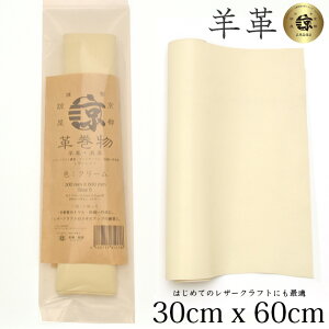 i {v rv v 30x60cm OTCY 唻 N₵ NȂ߂ U[Ntg ͂ nM nhCh |p f [v vޗ  U[V[gi 300mm × 600mm ) N[ 
