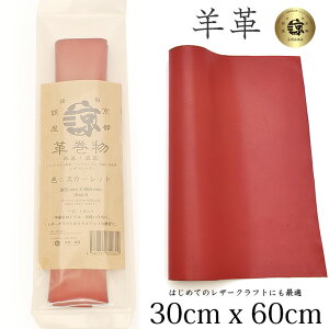 i {v rv v 30x60cm OTCY 唻 N₵ NȂ߂ U[Ntg ͂ nM nhCh |p f [v vޗ  U[V[gi 300mm × 600mm ) XJ[bg