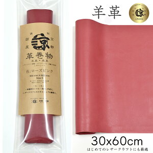 i {v rv v 30x60cm OTCY 唻 N₵ NȂ߂ U[Ntg ͂ nM nhCh |p f [v vޗ  U[V[gi 300mm × 600mm ) [Y s