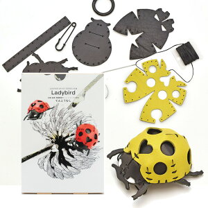 {v U[Ntg vō ĂƂނ egEV S Lbg H  t nhCh  v vG v׍H  No.808633