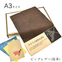 楽天市場】ピックスキンの通販