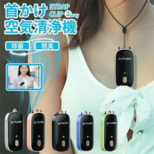 おしゃれ 消臭 脱臭 除菌 usb充電式 イオン発生器 ネックレス マイナスイオン 首かけ 空気清浄機 携帯用 小型