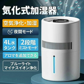 衝撃【半額50％OFF】静音設計の高性能加湿器で、オフィスやご自宅を快適な湿度に保ちます。乾燥から肌と喉を守り、空気の潤いを