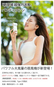 Type-C[d 3600mAhe 1-100iK?LEDfBXvC 啗 gѐ@ 莝@