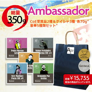 sԌtR[q[ v~A AoT_[ 2026 yNEW YEAR BAG AMBASSADORz 2026  XyVeBR[q[ 5 350g uh VOIW zWX@R[q[  