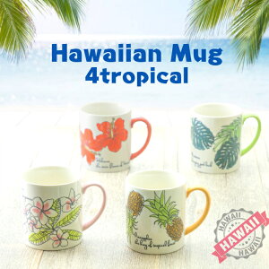 �yHawaiianMug�zHawaiian�}�O�J�b�v�i�g���s�J���j�y�n���CStyle�H��z�n�C�r�X�J�X�@�p�C�i�b�v���@�����X�e���@�v�������A�@�R�[�q�[�J�b�v�@�O���[�����[�t�@Mugcup�@�n���C�H��@�Ɩ��p�@�n