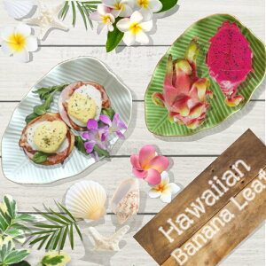 yBanana Leaf z oii[t g[ M S TCY 19cm×13cm ynCAStyleHz nC Hawaiian food t[cM M Ɩp H oii̗t GXjbN ^C OA TCp