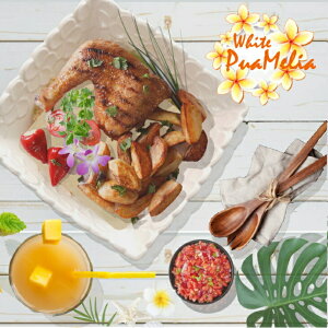 yPuamelia V[YzXNGAE{EiLj20cm×20cmi`唫jynCAStyleHzvA@{E@nC@~~T[@Aq|L@`R`L@K[bvV