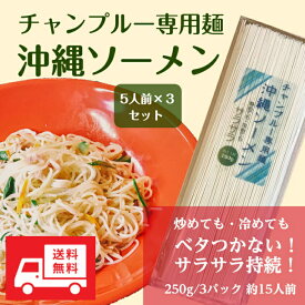 【送料無料】チャンプルー専用　沖縄ソーメン　250g（約5人前）×3袋セット　失敗しない！ソーメンチャンプルーの麺　業務用ソーメン　沖縄料理店のプロ食材　いつでも固まらないソーメン・チャンプルー！