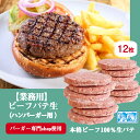 ハンバーガー パテ ( 生タイプ ) 12枚入 パック 【冷凍】 ビーフ 100％ 直径約10cm（100g）バーガーパテ バーガーパティ プロ仕様 ハンバーガー用 パテ ハンバーグ 業務用 アメリカンスタイル