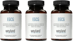 u3{ZbgvWeyland Brain Nutrition EGCGGsKJeLK[g@Tvg1400mgz100×3{Zbg
